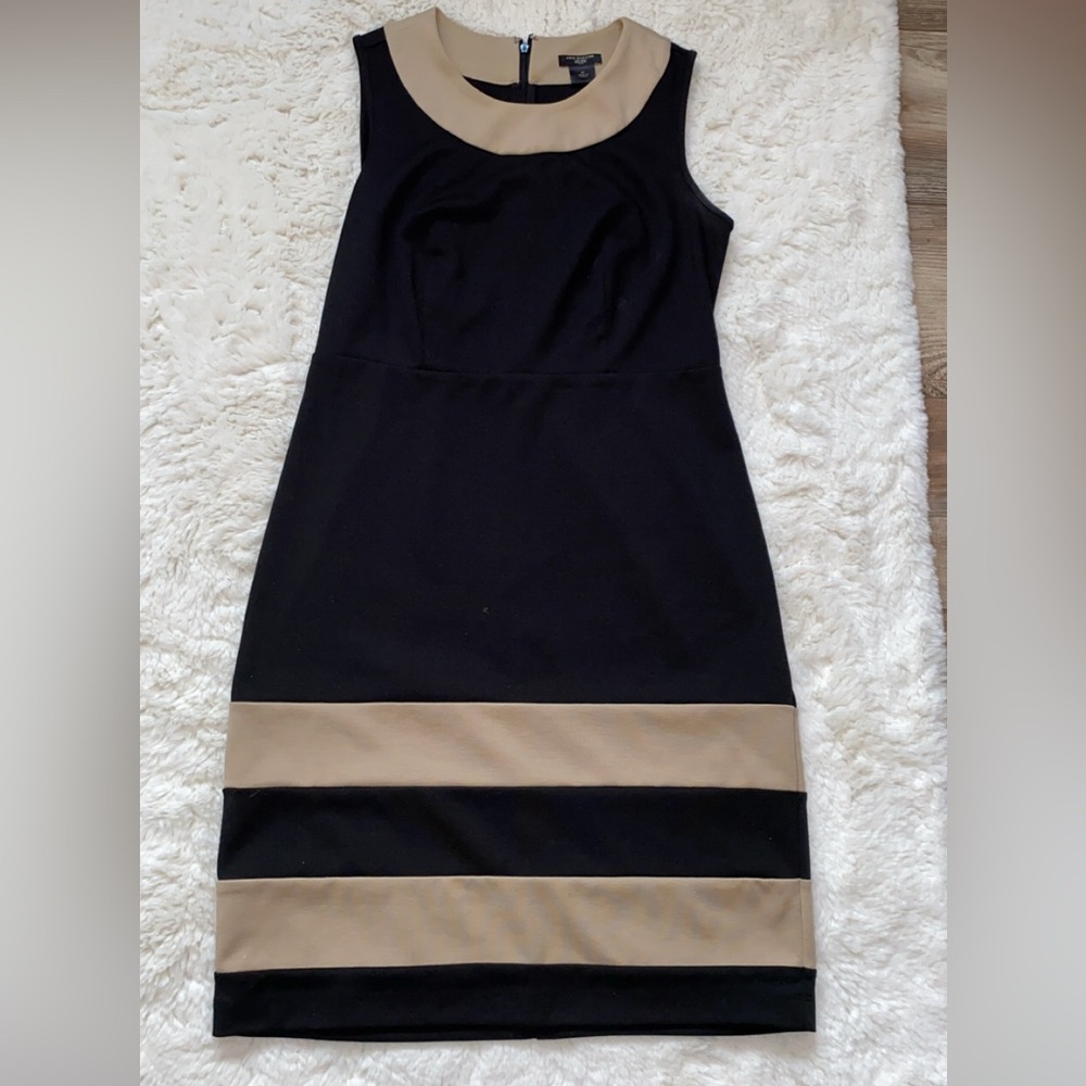 Ann Taylor Black Dress with Beige Trim
